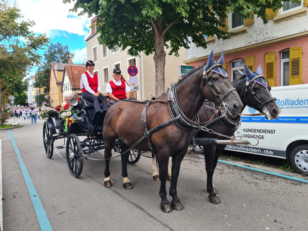 Auf dem Bild ist eine schwarze Kutsche mit zwei braunen Pferden vorneweg auf einer Straße zu sehen. Die Pferde tragen blaue Ohrenschützer. Die Kutsche ist mit Blumen geschmückt, es befinden sich Leute darin, die nicht näher zu erkennen sind. Auf dem Kutschbock sitzen zwei Personen mit roten Westen und weißen Blusen.